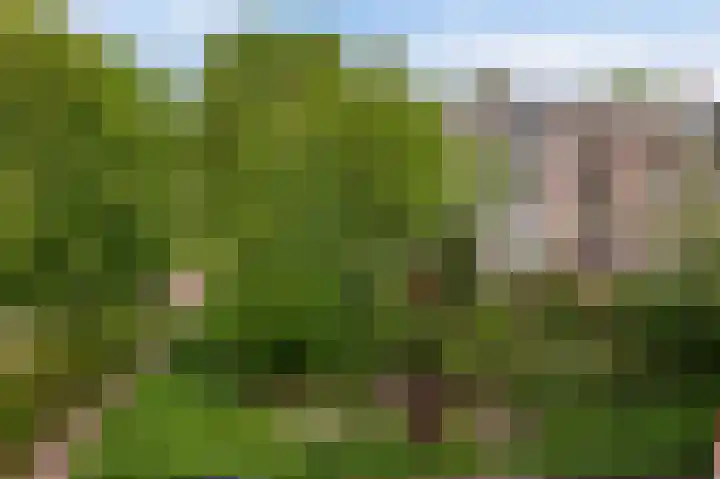 Porcellishof 50 Alkmaar thumbnail 40