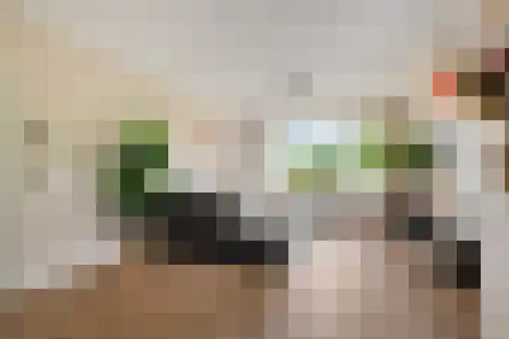 Porcellishof 50 Alkmaar thumbnail 5