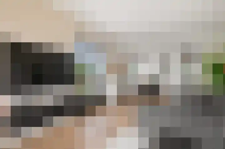 Porcellishof 50 Alkmaar thumbnail 6