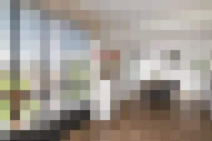 Porcellishof 50 Alkmaar thumbnail 9
