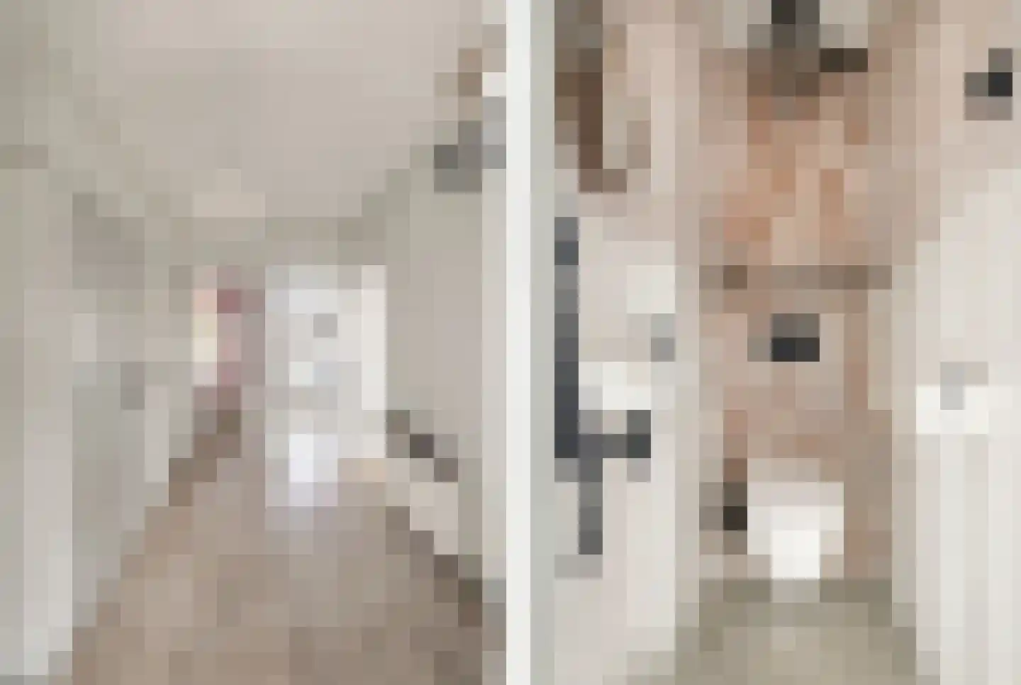 Porcellishof 6 Alkmaar thumbnail 10