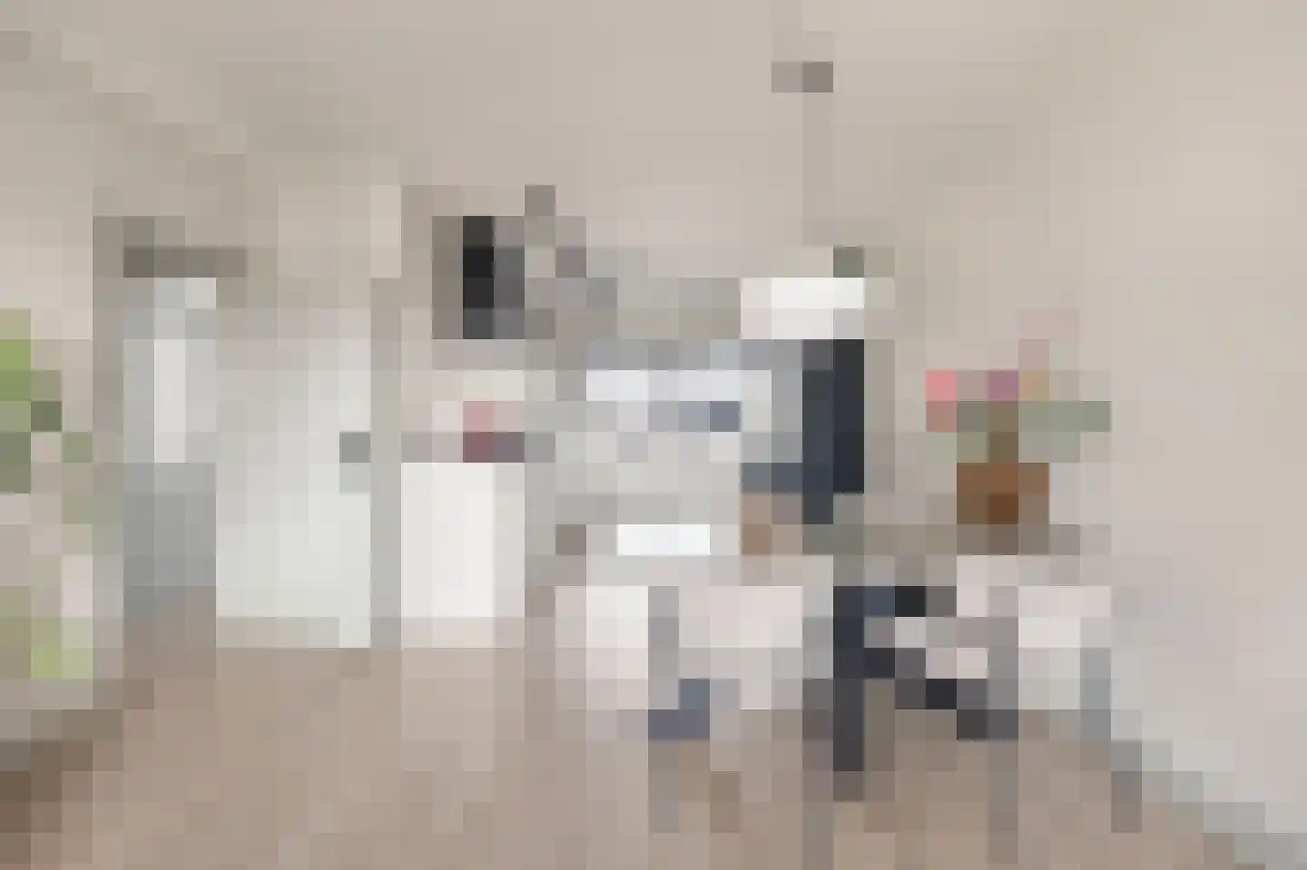 Porcellishof 6 Alkmaar thumbnail 11