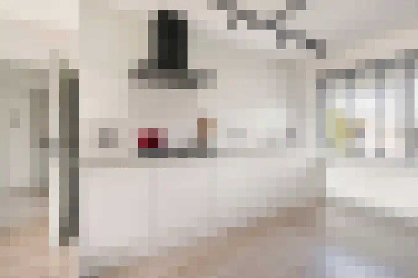 Porcellishof 6 Alkmaar thumbnail 13