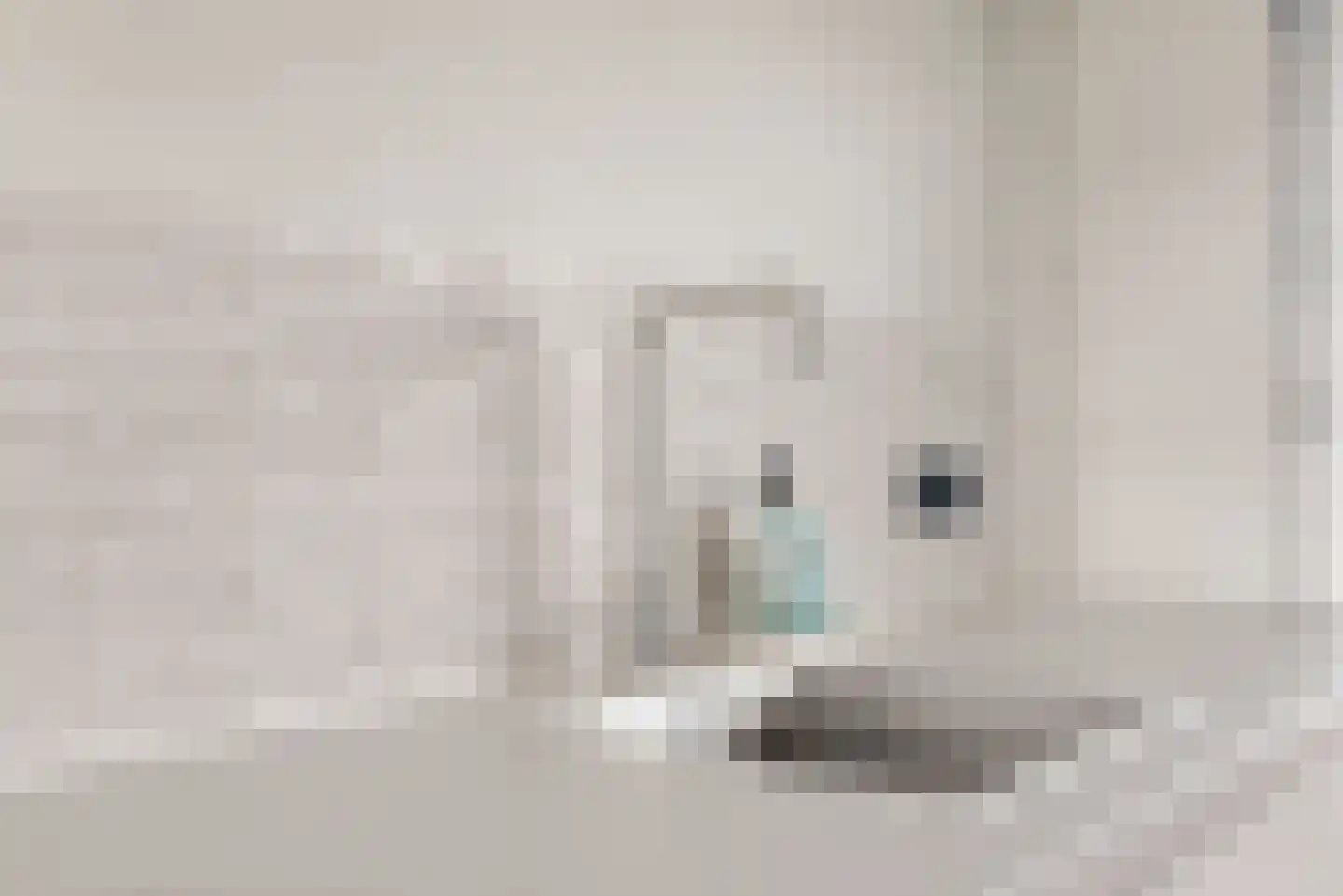 Porcellishof 6 Alkmaar thumbnail 15