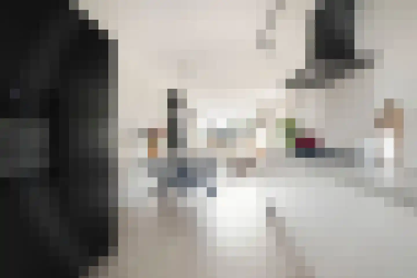 Porcellishof 6 Alkmaar thumbnail 16