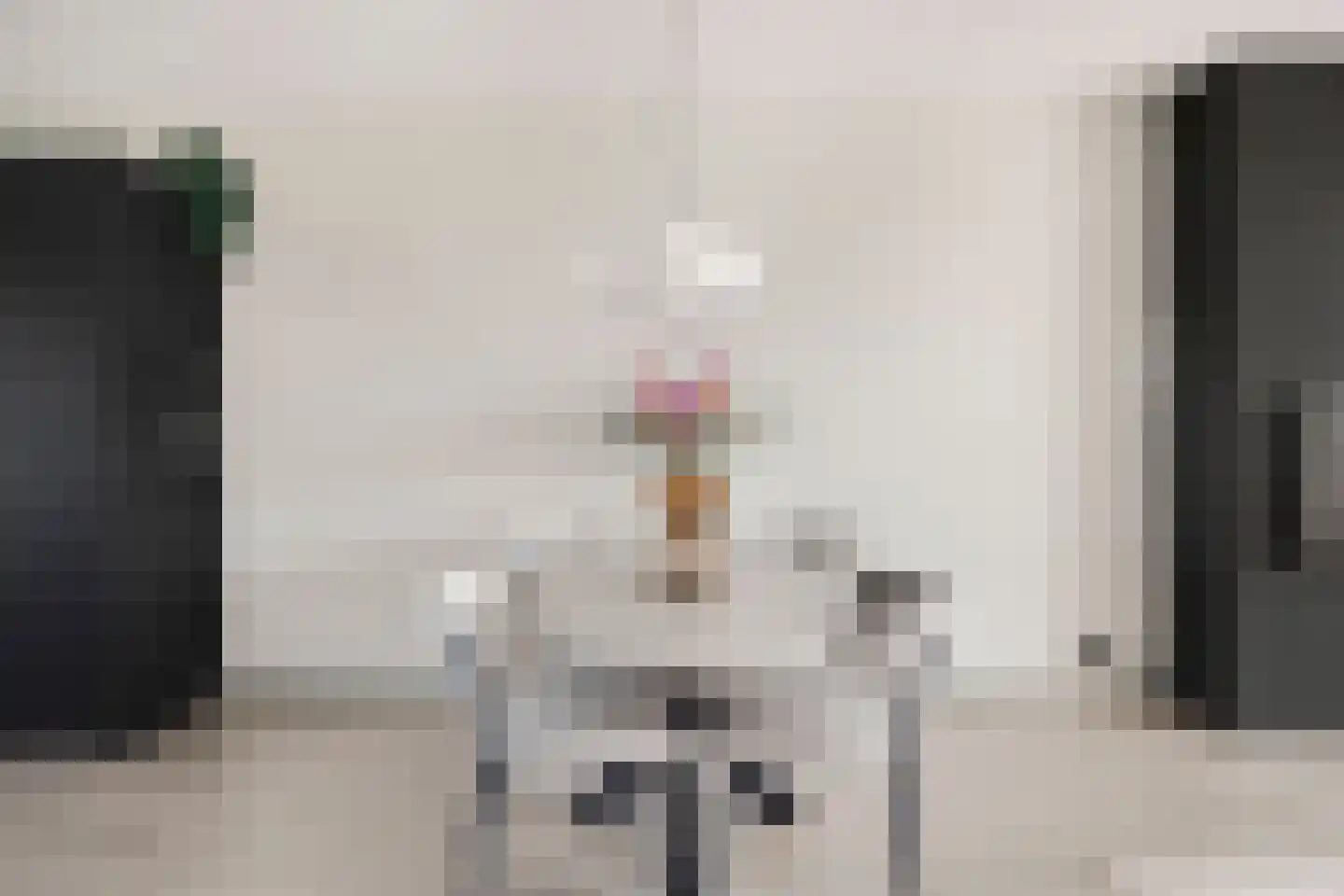 Porcellishof 6 Alkmaar thumbnail 17