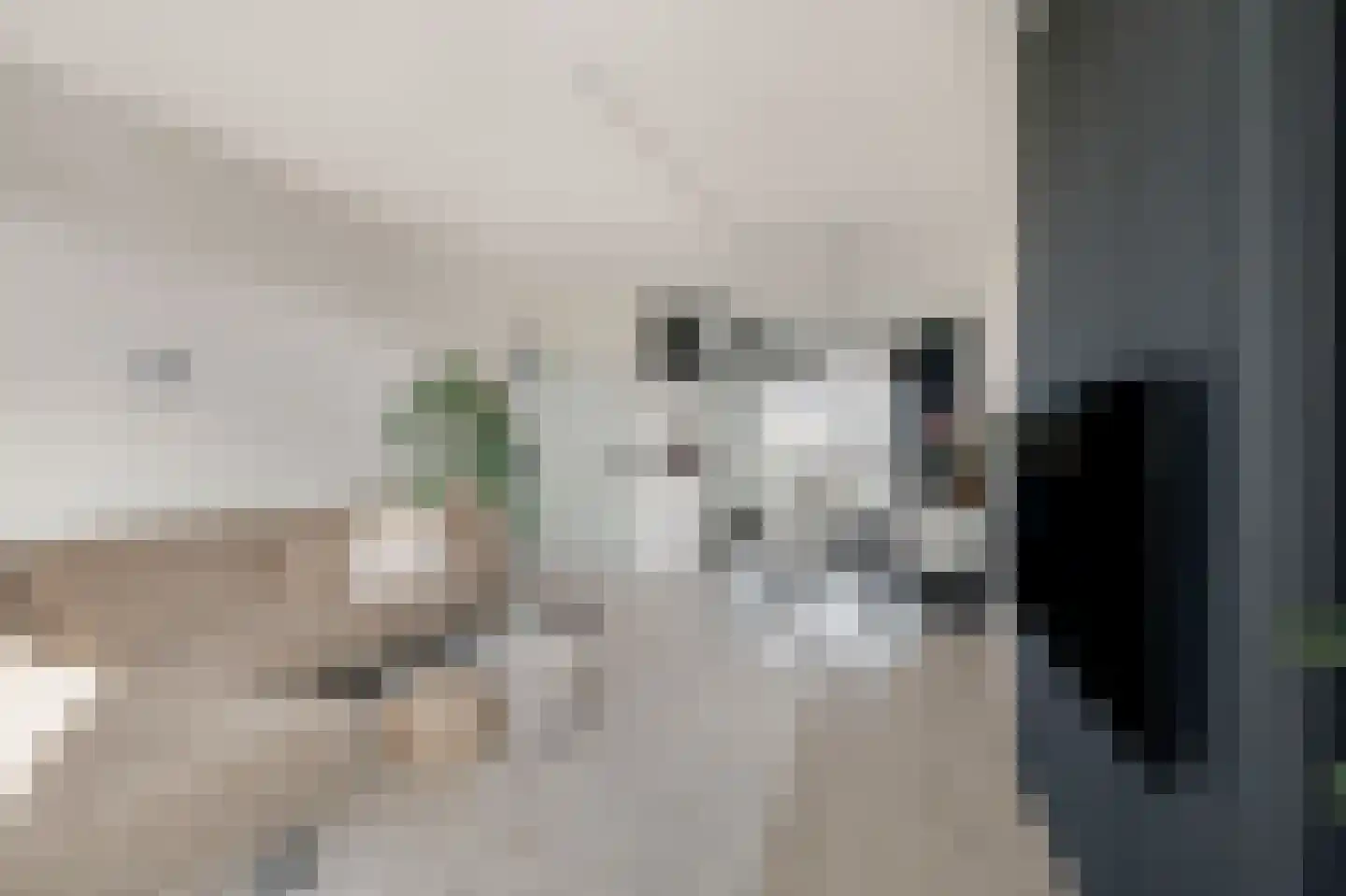 Porcellishof 6 Alkmaar thumbnail 20