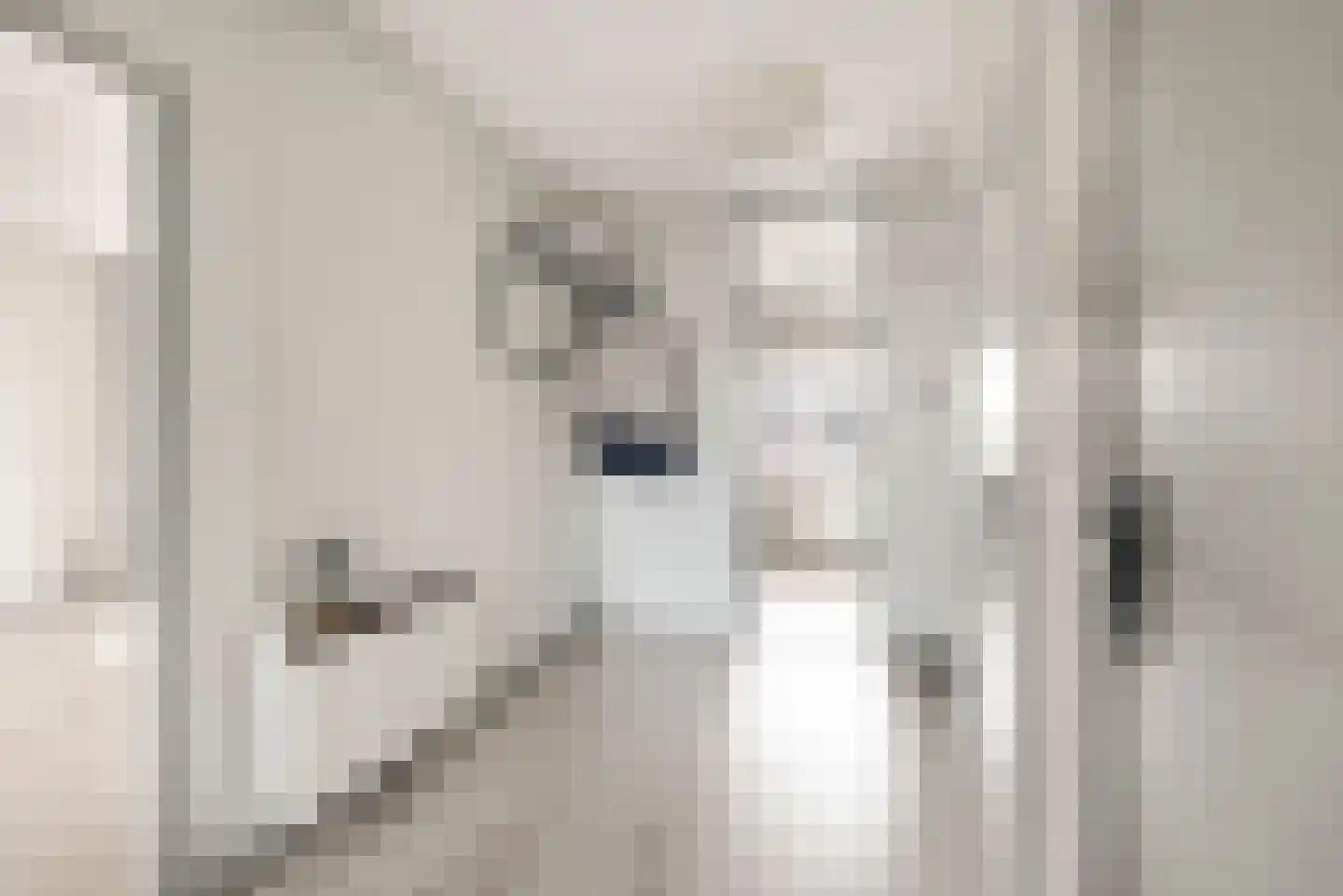 Porcellishof 6 Alkmaar thumbnail 21