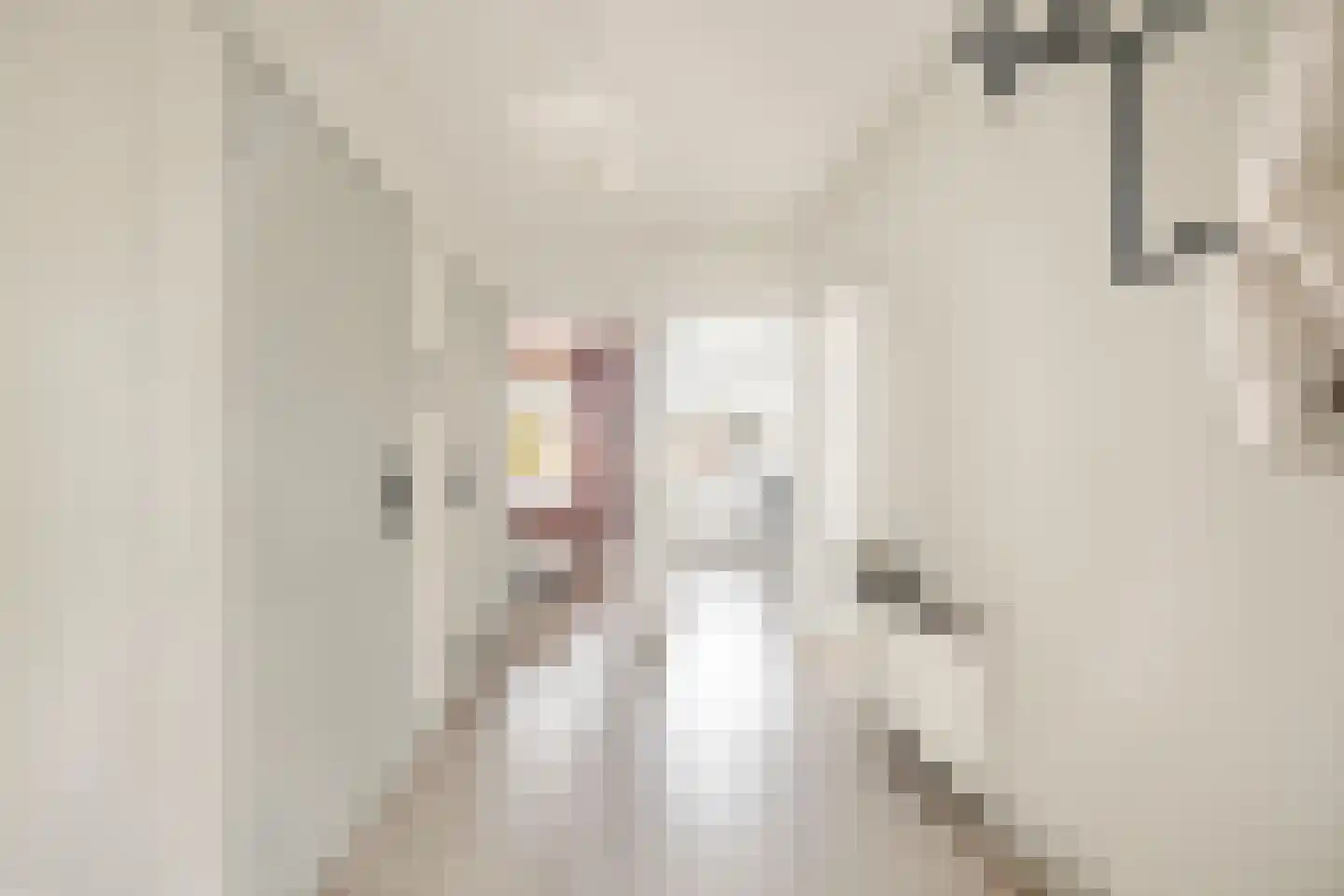 Porcellishof 6 Alkmaar thumbnail 24