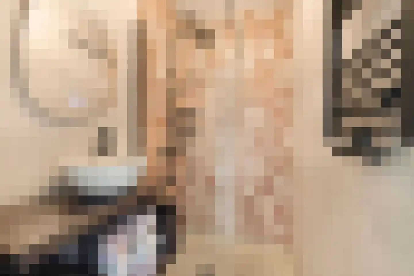Porcellishof 6 Alkmaar thumbnail 25