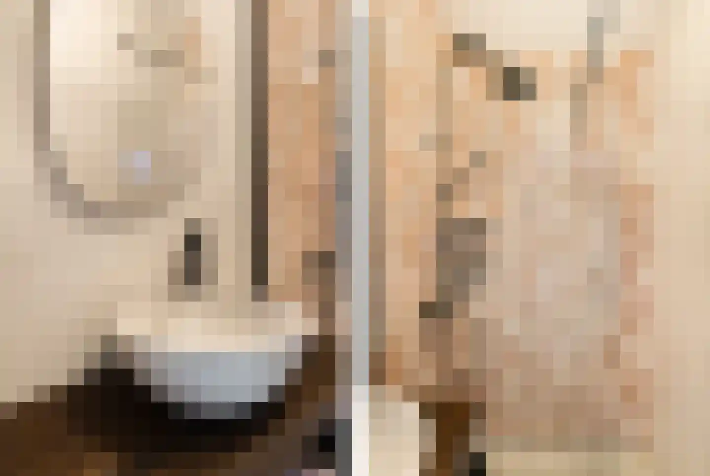 Porcellishof 6 Alkmaar thumbnail 26
