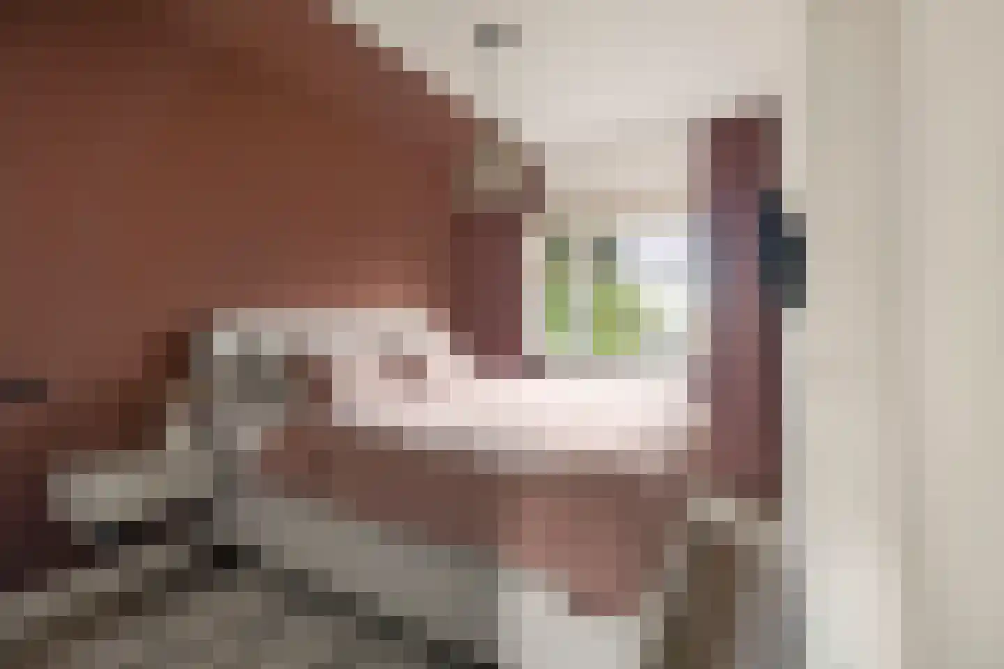 Porcellishof 6 Alkmaar thumbnail 28