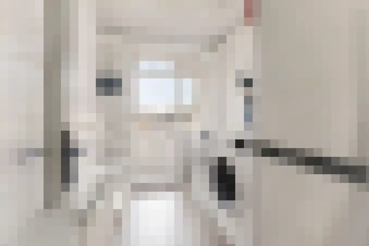 Porcellishof 6 Alkmaar thumbnail 31