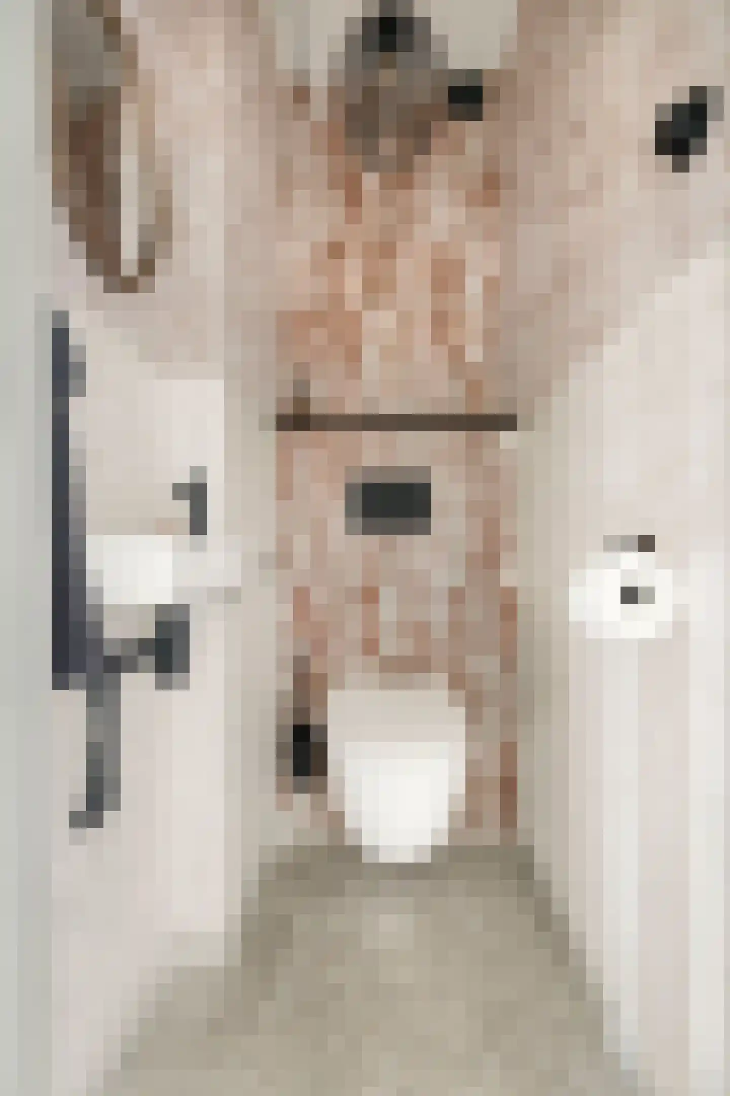 Porcellishof 6 Alkmaar thumbnail 35