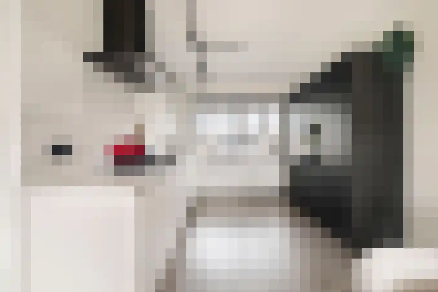 Porcellishof 6 Alkmaar thumbnail 5