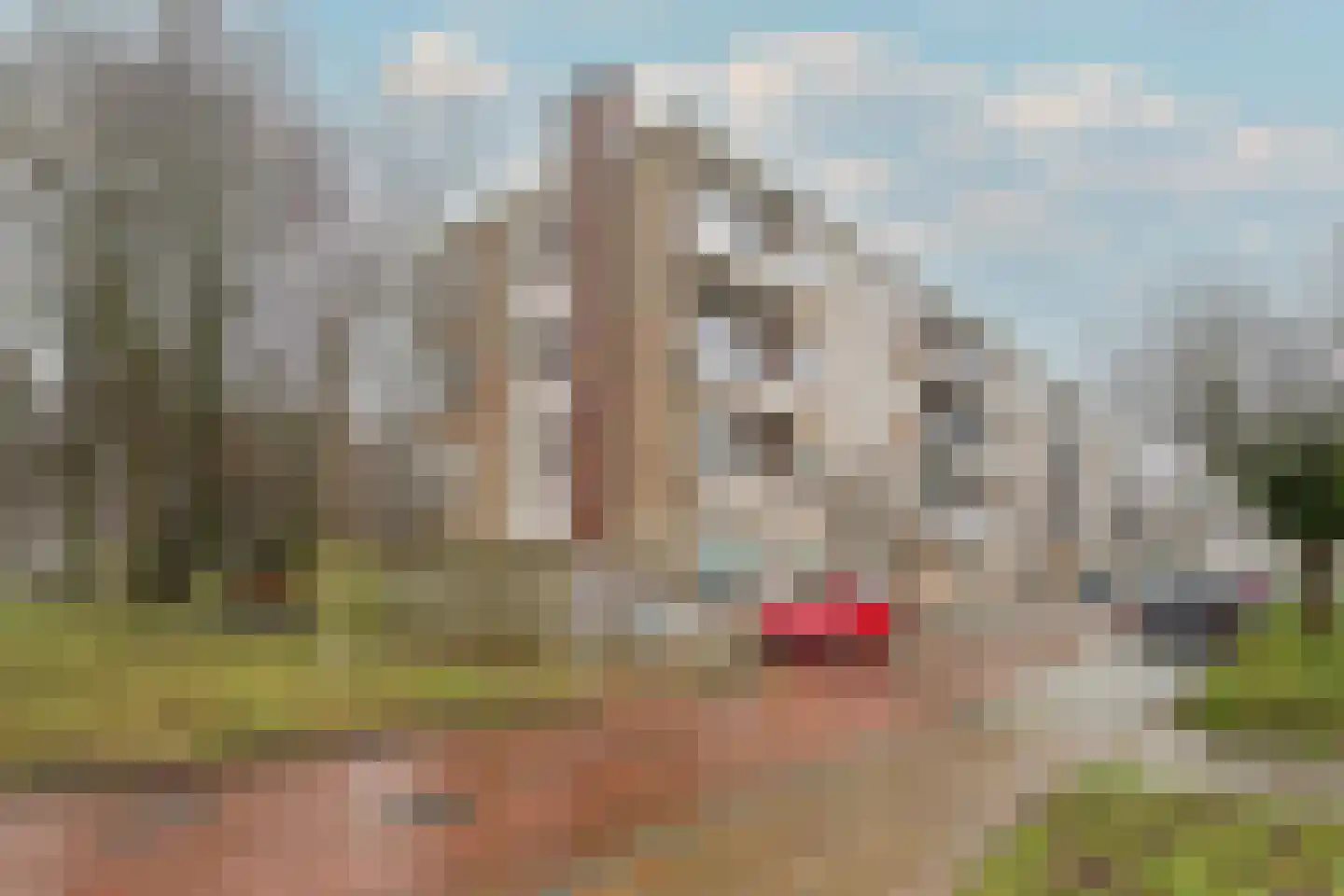 Porcellishof 7 Alkmaar