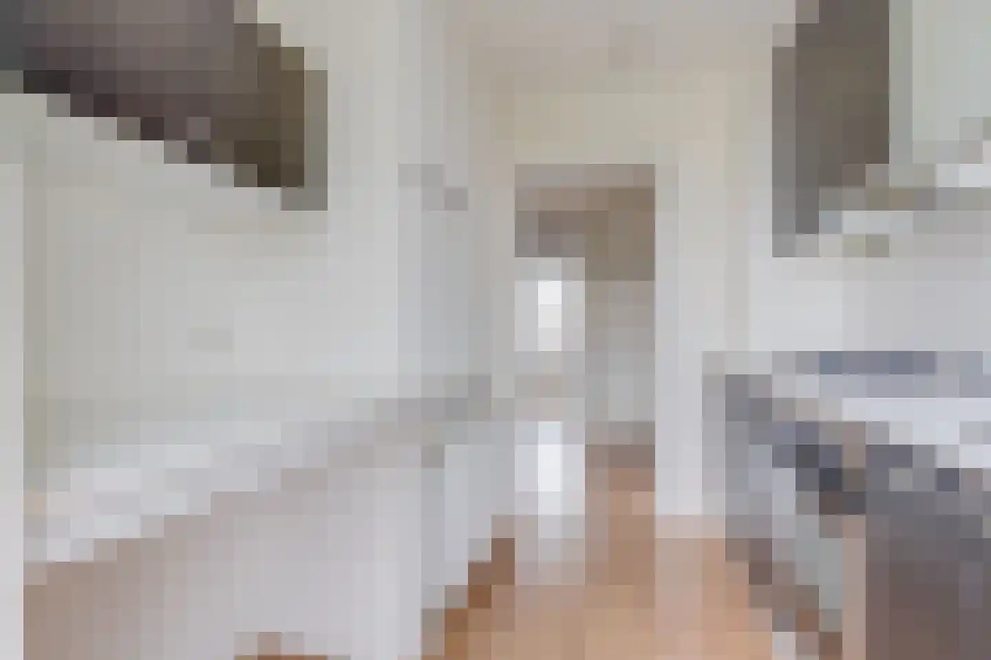 Porcellishof 7 Alkmaar thumbnail 14