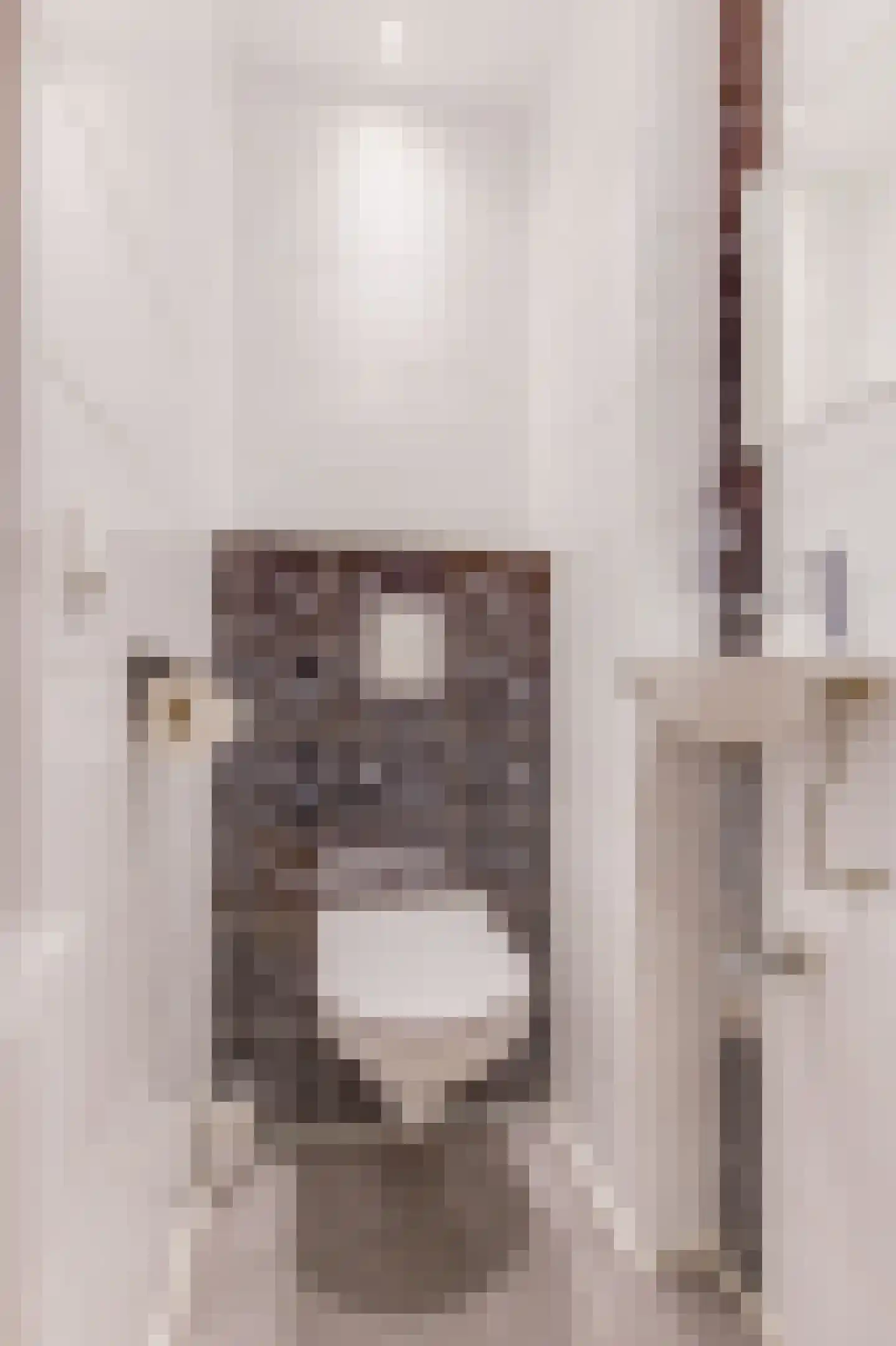 Porcellishof 7 Alkmaar thumbnail 20