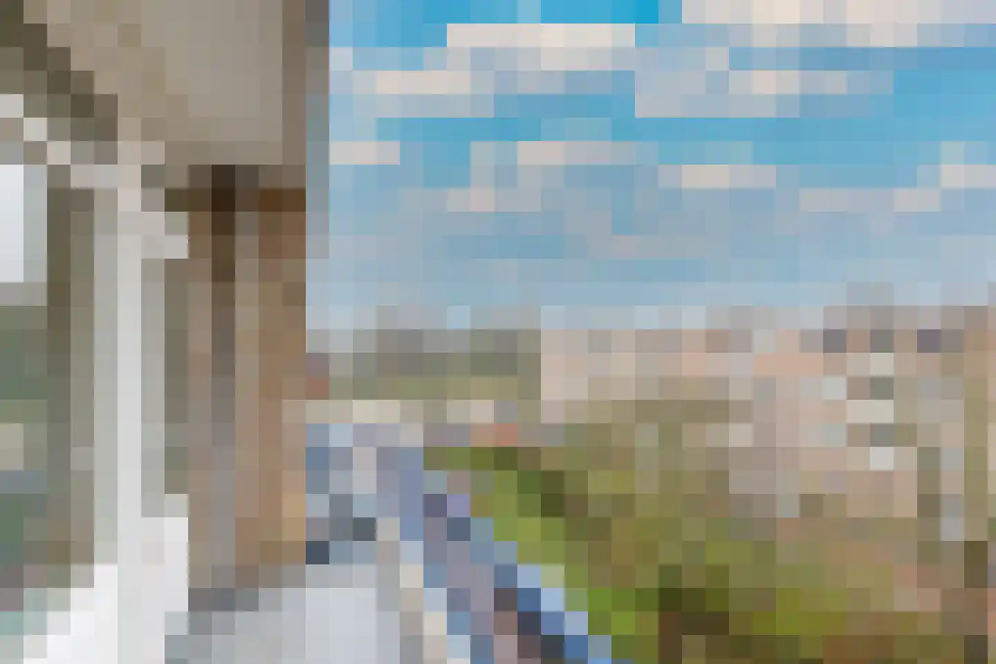 Porcellishof 7 Alkmaar thumbnail 26