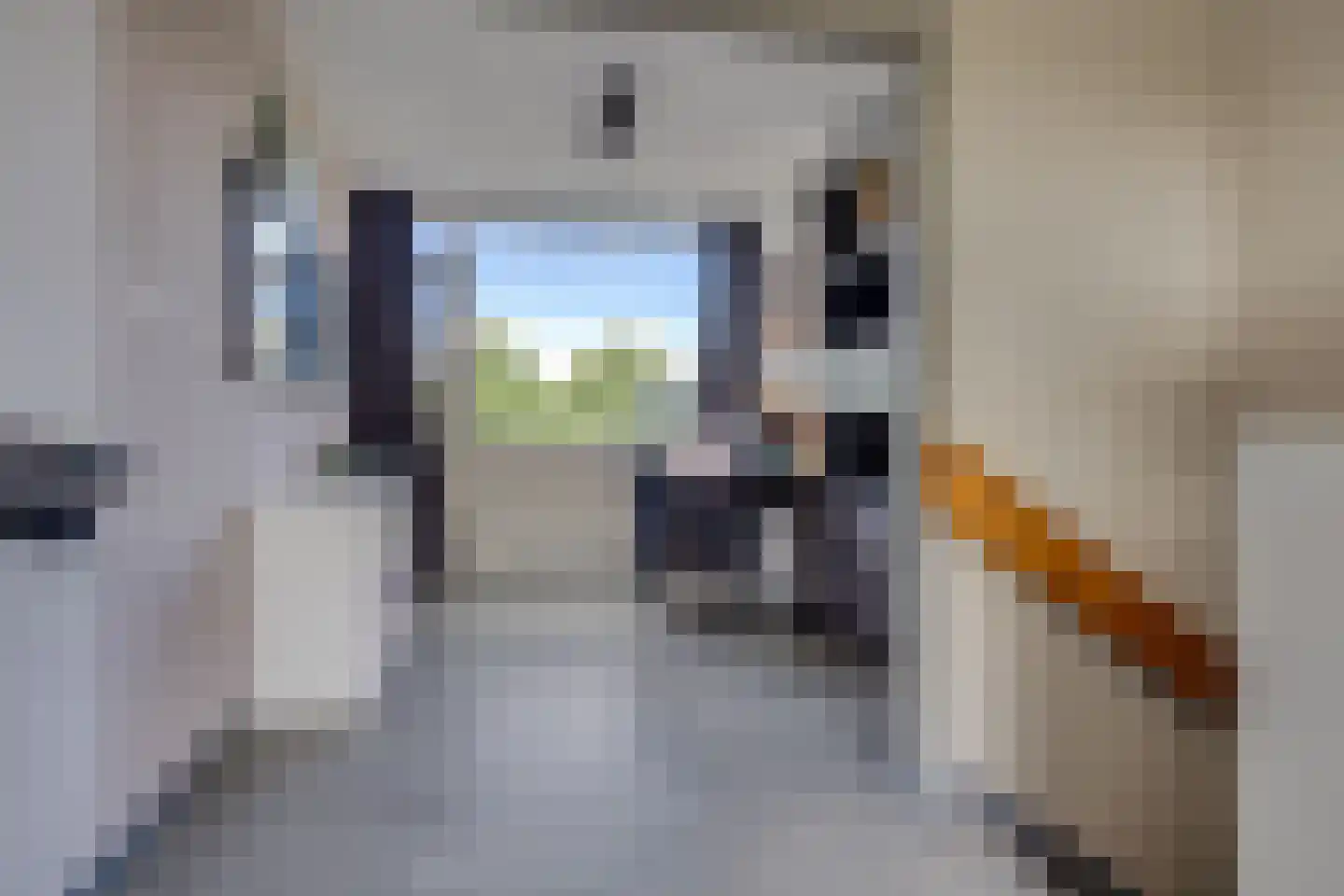 Porfier 2 Leusden thumbnail 21