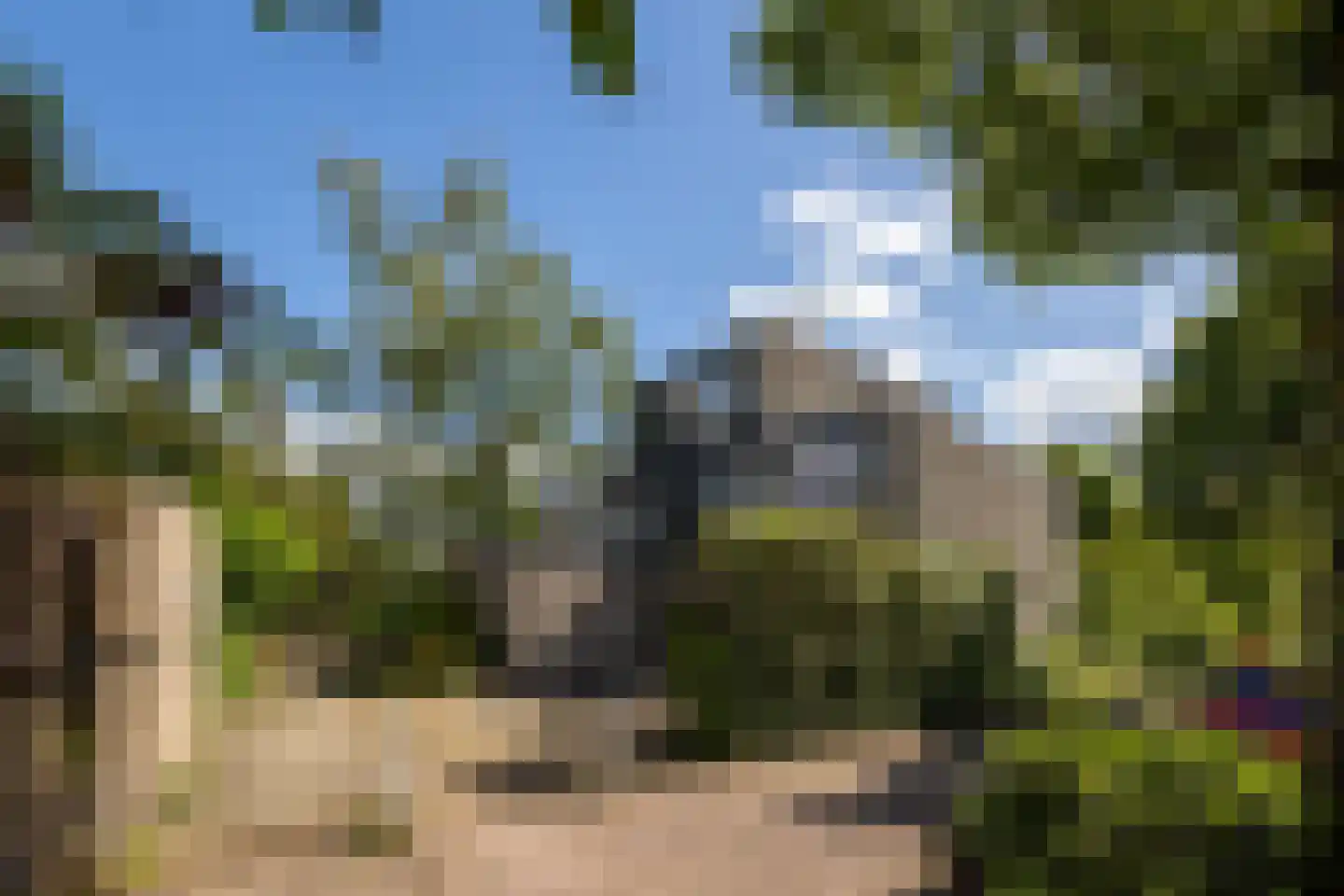 Porfier 2 Leusden thumbnail 32