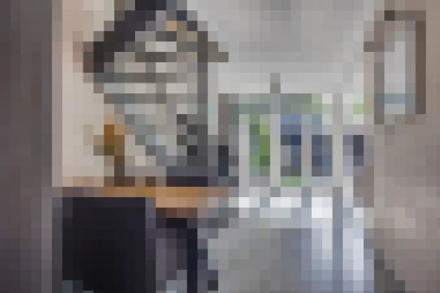 Porfier 2 Leusden thumbnail 4