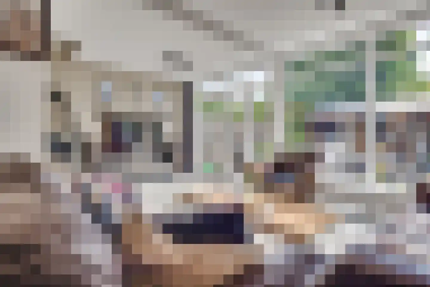 Porfier 2 Leusden thumbnail 9