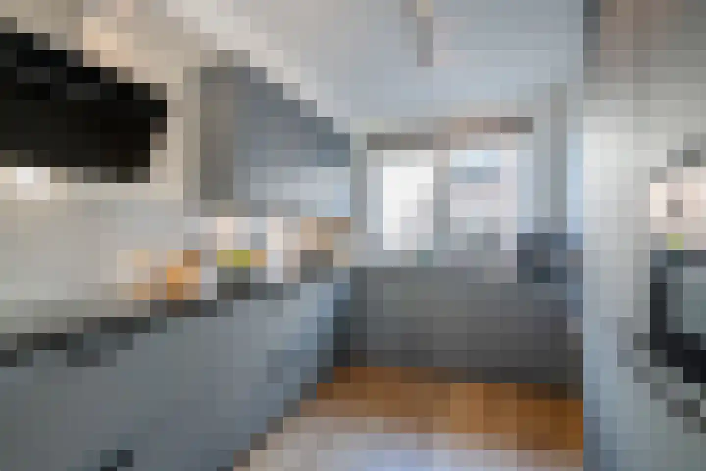 Porfier 3 Zoetermeer thumbnail 17