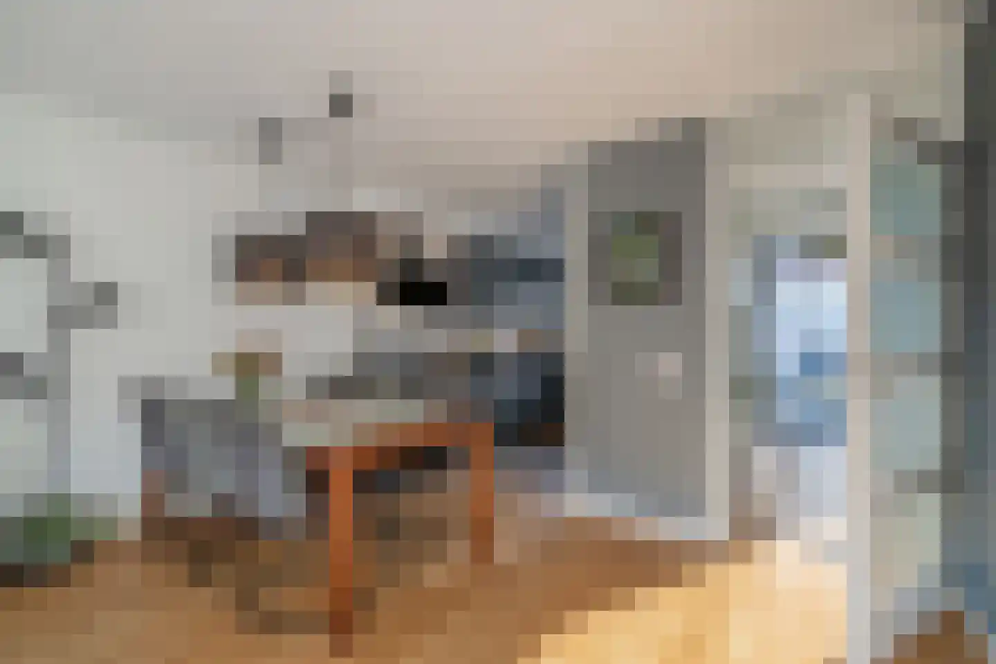 Porfier 3 Zoetermeer thumbnail 21