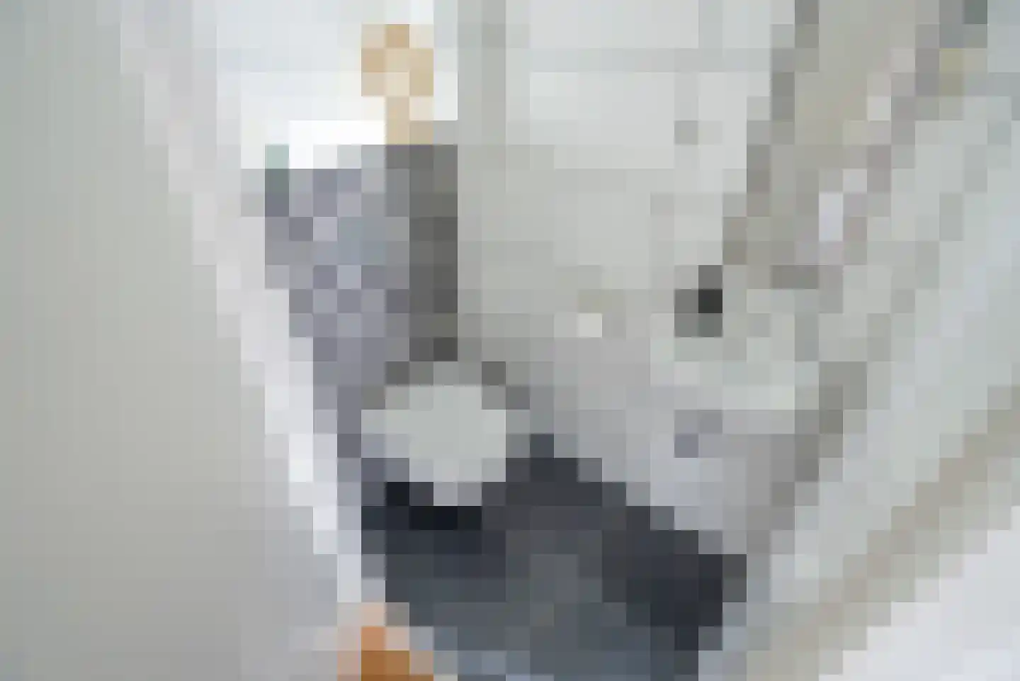 Porfier 3 Zoetermeer thumbnail 22