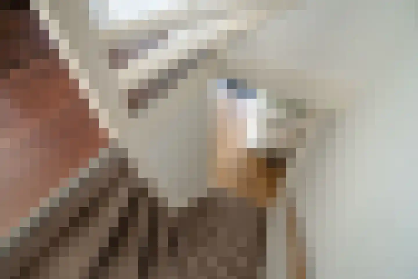 Porfier 3 Zoetermeer thumbnail 24