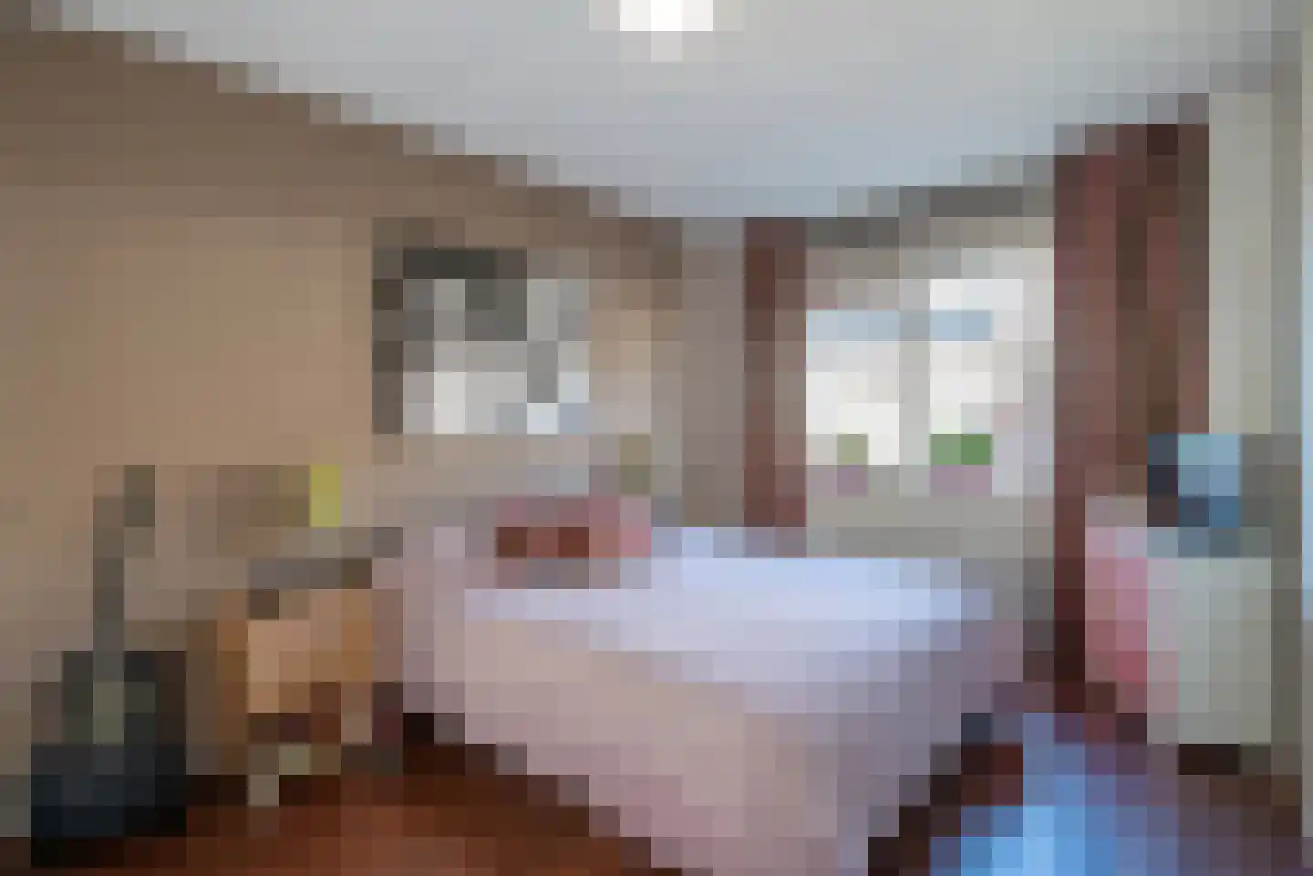 Porfier 3 Zoetermeer thumbnail 25