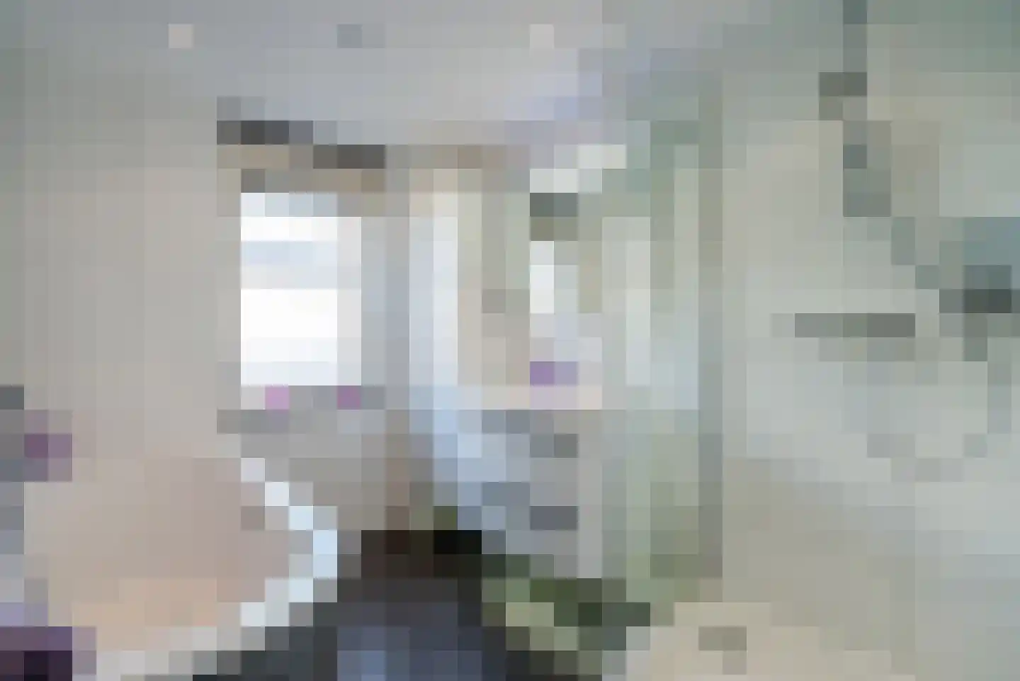 Porfier 3 Zoetermeer thumbnail 28