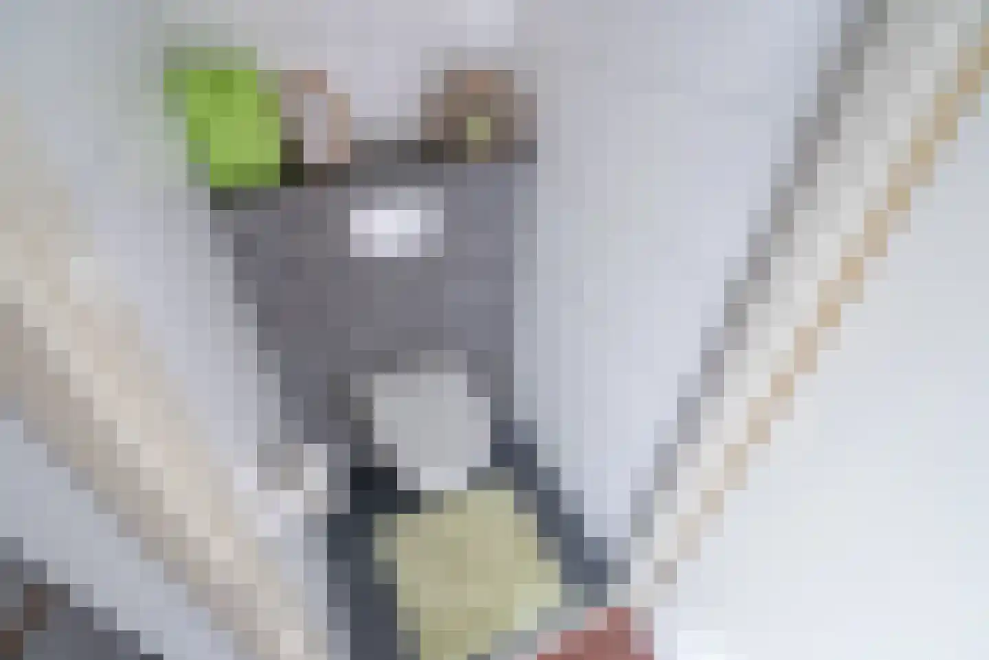 Porfier 3 Zoetermeer thumbnail 34