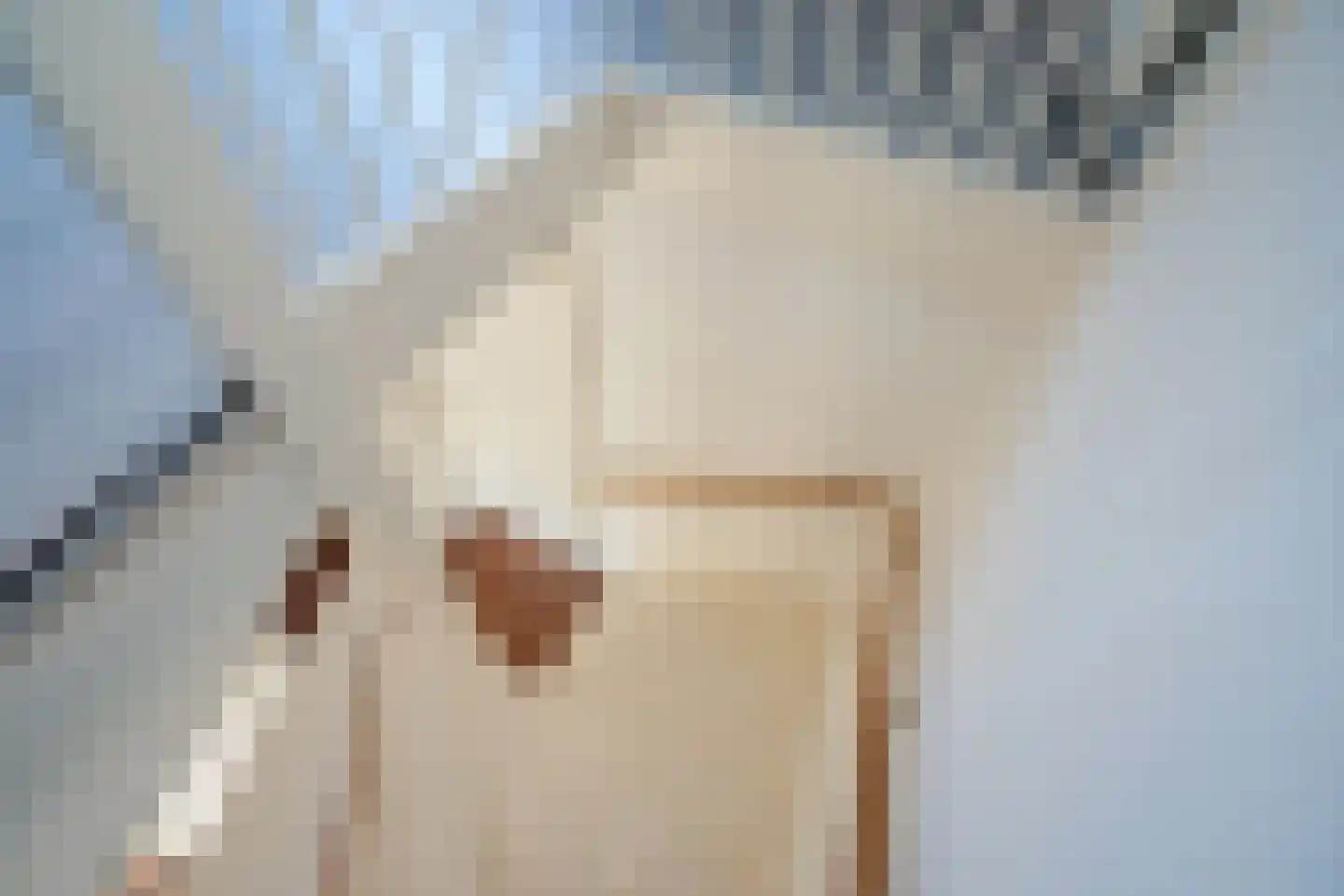 Porfier 3 Zoetermeer thumbnail 36