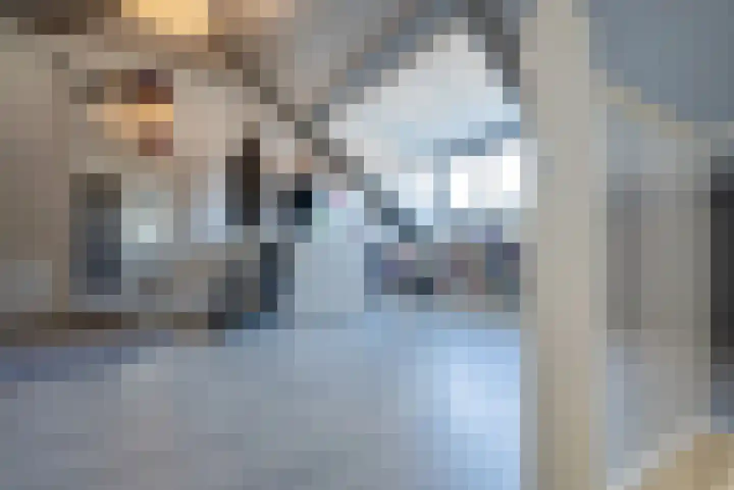 Porfier 3 Zoetermeer thumbnail 37