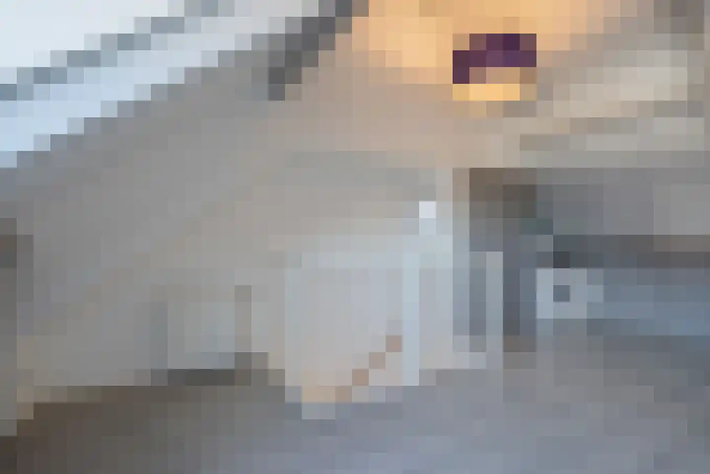 Porfier 3 Zoetermeer thumbnail 41