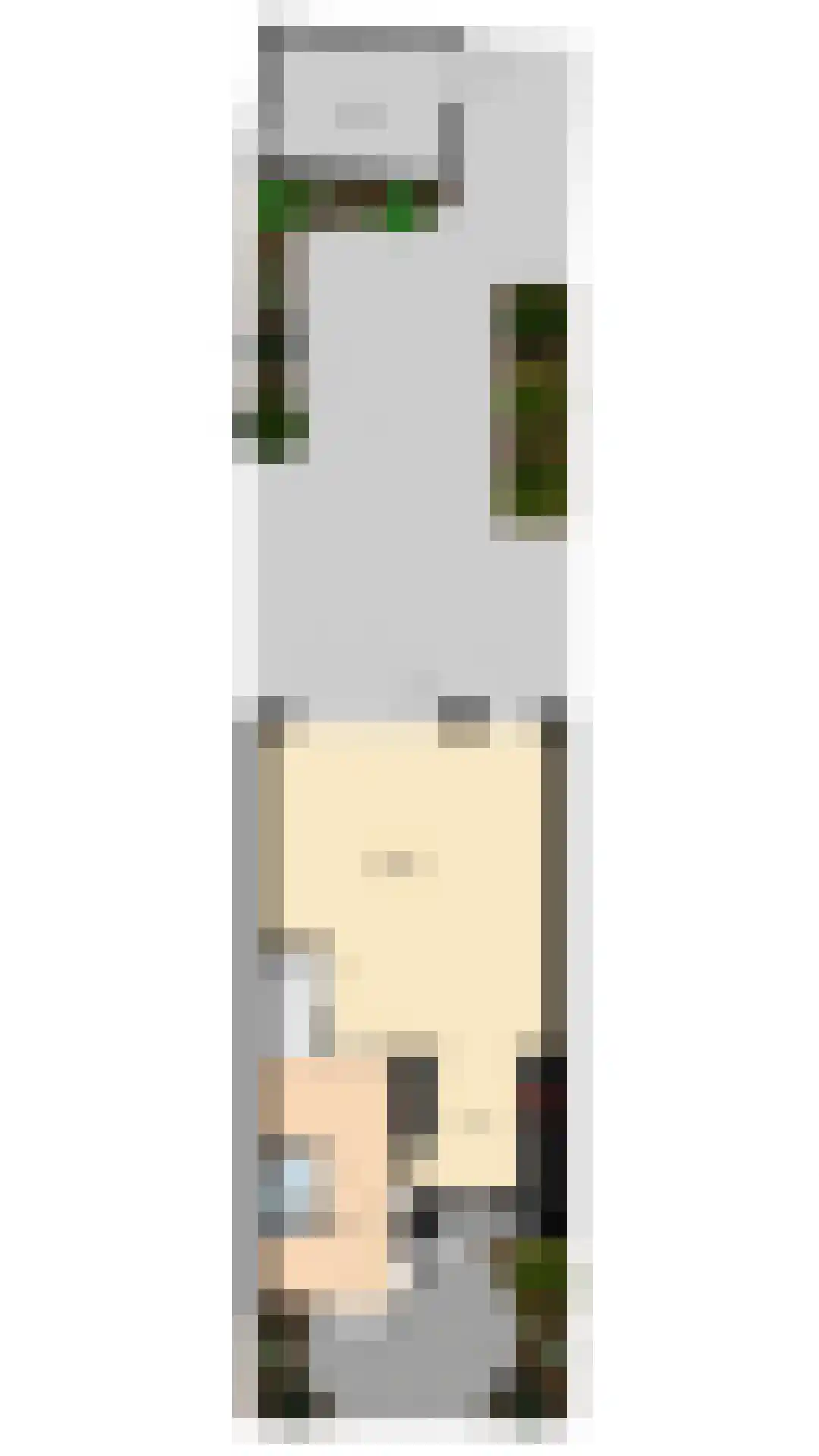 Porfier 3 Zoetermeer thumbnail 50