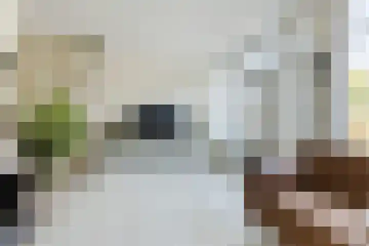 Porfier 6 Leusden thumbnail 11