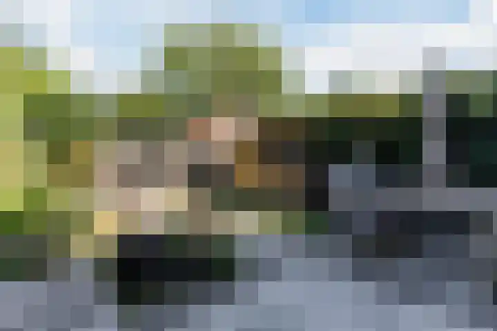 Porfier 6 Leusden thumbnail 35