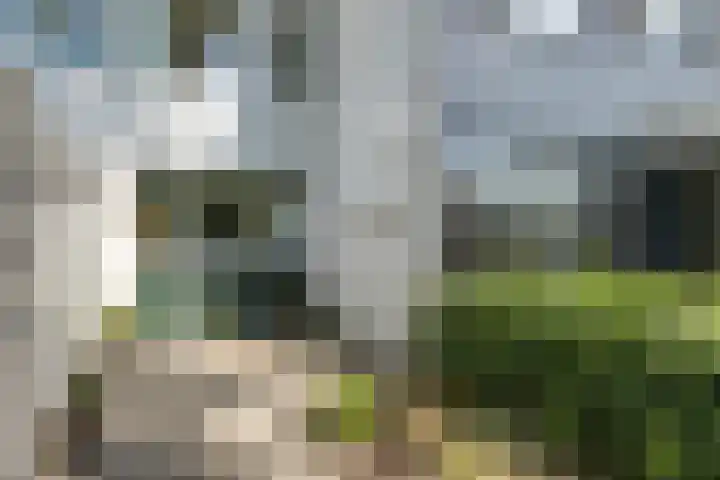 Porfier 6 Leusden thumbnail 42