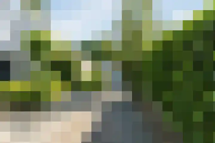 Porfier 6 Leusden thumbnail 45