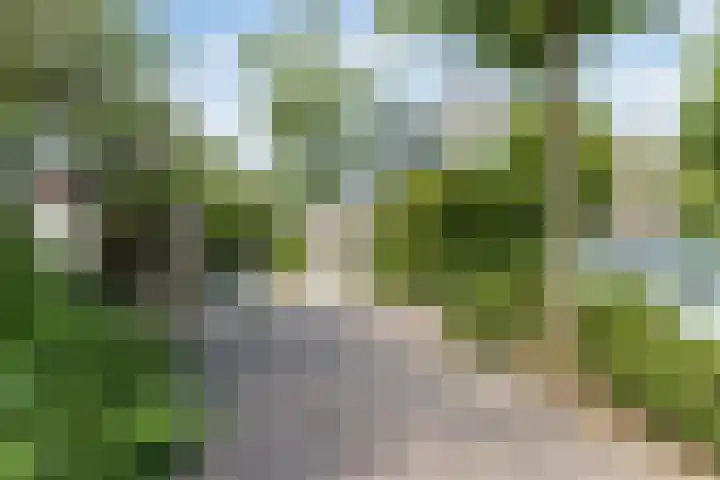 Porfier 6 Leusden thumbnail 46