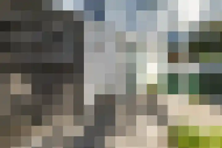 Porfier 6 Leusden thumbnail 5