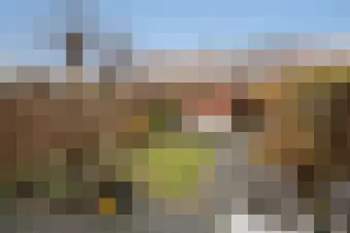 Porfier 6 Zoetermeer thumbnail 10