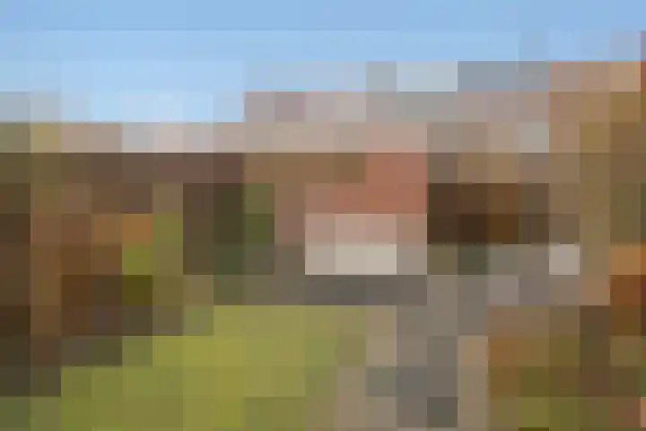 Porfier 6 Zoetermeer thumbnail 11