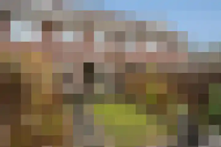 Porfier 6 Zoetermeer thumbnail 12