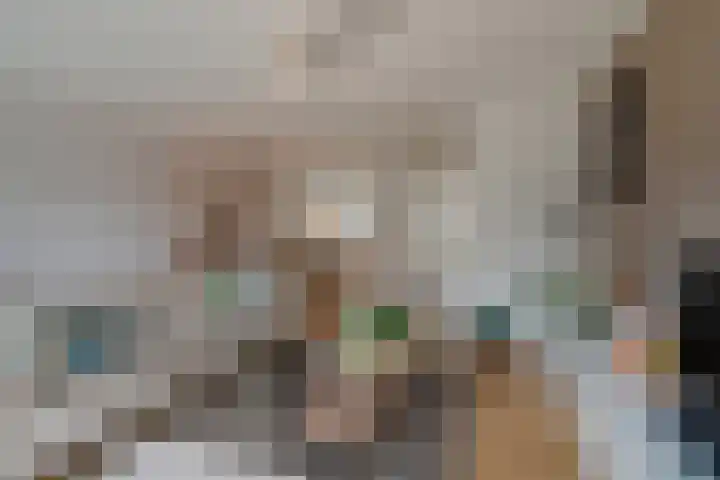 Porfier 6 Zoetermeer thumbnail 13