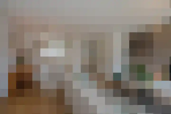 Porfier 6 Zoetermeer thumbnail 14