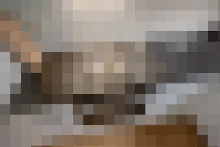 Porfier 6 Zoetermeer thumbnail 16